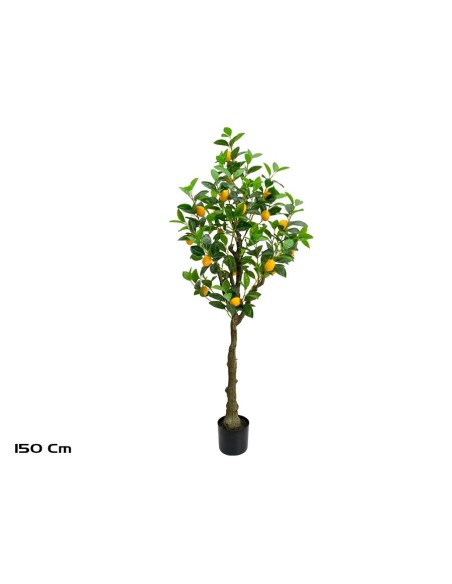 ARBOL LIMONERO X 24 - 150 CM