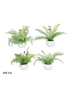 MACETA HELECHOS FLOC X 9 LVS - 22 CM (S)