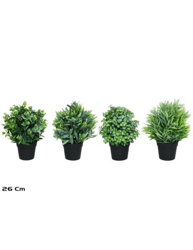 MACETA ARBUSTIVAS  - 26 CM (S)