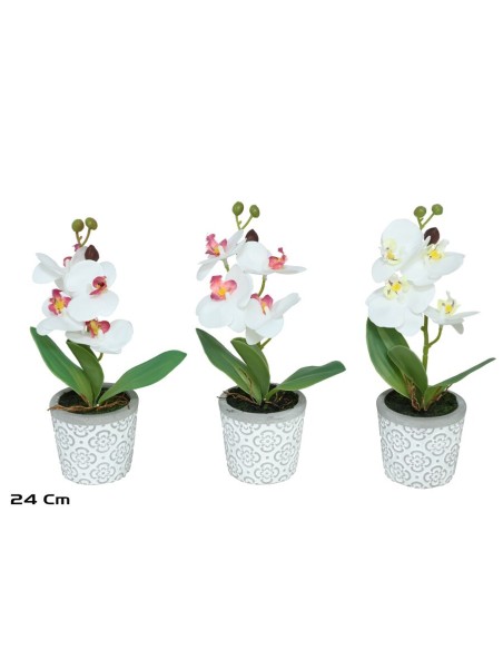 MACETA ORQUIDEAS X 4 R/TOUCH-24 CM (S)