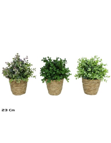 MACETA  ALGAS EUCALYPTUS -23CM (S)