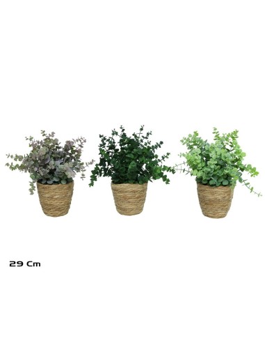 MACETA  ALGAS EUCALYPTUS MINI-29CM (S)