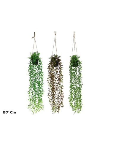 MACETA COLGAR BOJ - 87 CM (S)