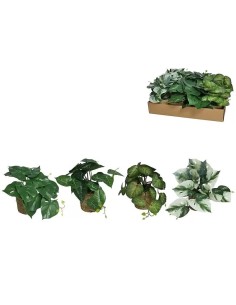MACETA ALGAS CON PLANTAS SURT (B)-25 CM