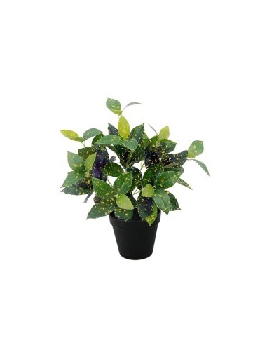 PLANTA MARIALINDA X88 C/MACETE (G529-1M)