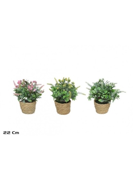 MACETA ALGAS  MOD B 22 CM (S)