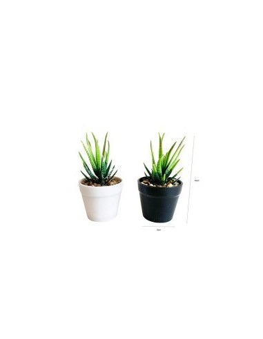 PLANTA ARTIFICIAL 6X6X15CM 2