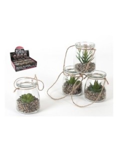 BOTE PLANTA CACTUS 8.5 CM - 4 SURT