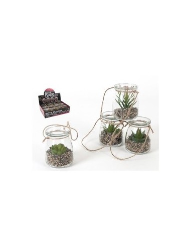 BOTE PLANTA CACTUS 8.5 CM - 4 SURT