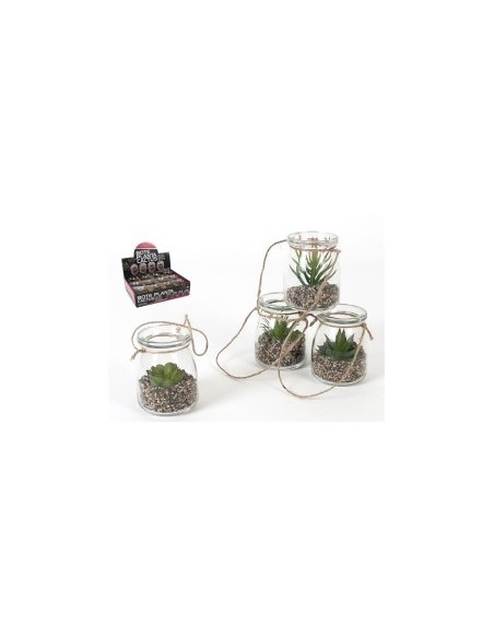 BOTE PLANTA CACTUS 8.5 CM - 4 SURT