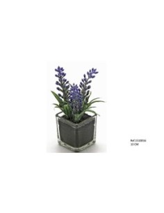 MACETA CRISTAL CON LAVANDA 13CM