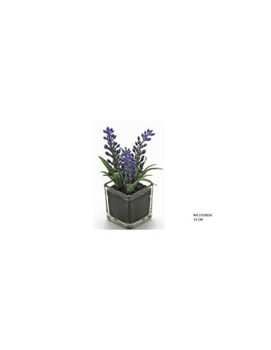 MACETA CRISTAL CON LAVANDA 13CM