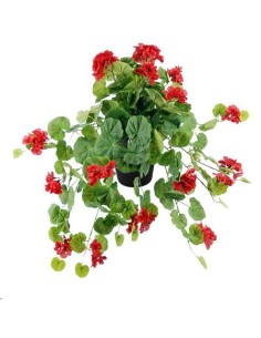 GERANIOX209 ROJO c/MACET.10X10 V(B215-1M)