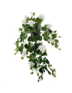 GERANIOX209 BLAN.c/MACET.10X10 (B215-2M)