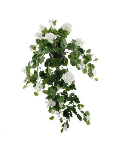 GERANIOX209 BLAN.c/MACET.10X10 (B215-2M)