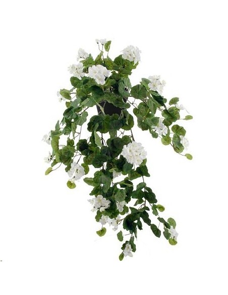 GERANIOX209 BLAN.c/MACET.10X10 (B215-2M)