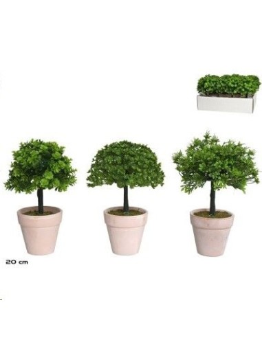 MACETA TERRACOTA BOJ SURT 20 CM