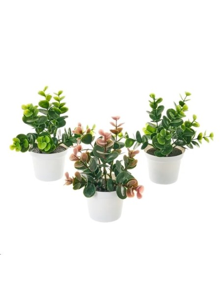 PLANTA 3/C PLÁSTICO 12 X 12 X 17 CM