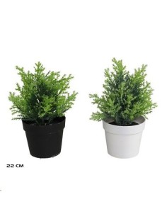 MACETA ARBUSTO SURTIDAS 22 CM