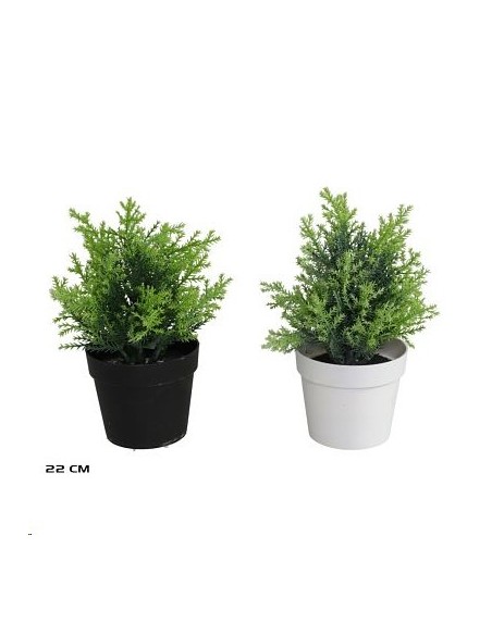 MACETA ARBUSTO SURTIDAS 22 CM