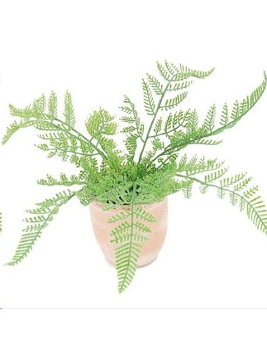 PL.HELECHO FI/TERRACOT.23X25cm (G607-2)