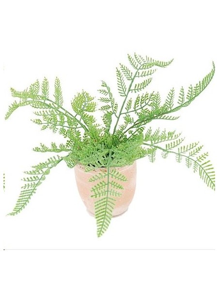 PL.HELECHO FI/TERRACOT.23X25cm (G607-2)