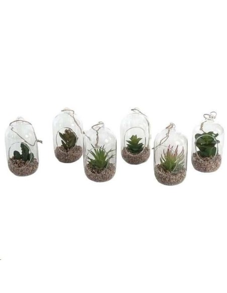 BOTELLA CRISTAL MINI CACTUS 13.5X7CM 6 S