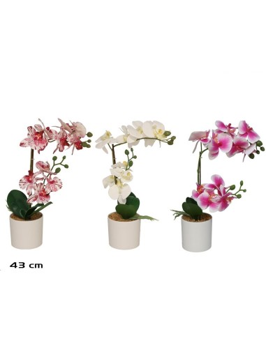 MACETA ORQUIDEAS X 10 R/TOUCH 43 CM (S)