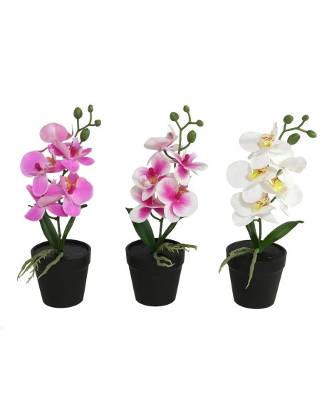 MACETA ORQUIDEAS X 5 R/TOUCH-28 CM (S)