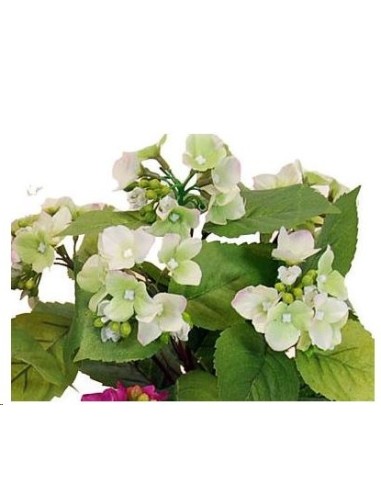 MAC HORTENSIA VERDE/ROSA 32CM