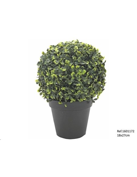 BOLA BOJ EN MACETA 18X27 CM