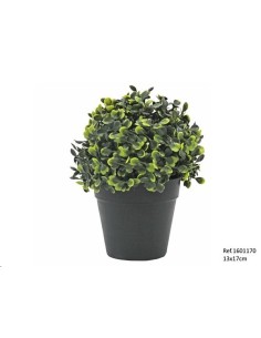 BOLA BOJ EN MACETA 13X17 CM