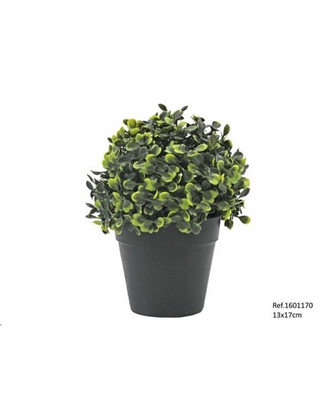 BOLA BOJ EN MACETA 13X17 CM