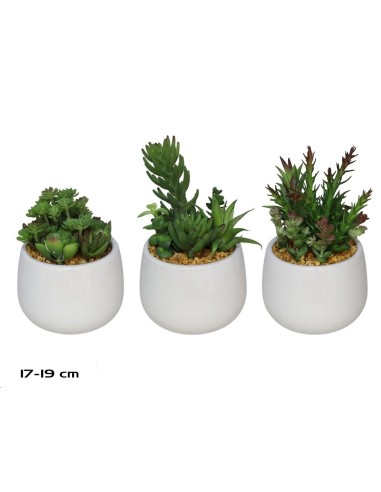 MACETA CERAMICA /BL SUCULENTAS SURTIDO 17-19 CM