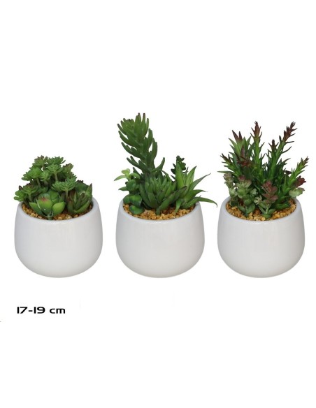 MACETA CERAMICA /BL SUCULENTAS SURTIDO 17-19 CM