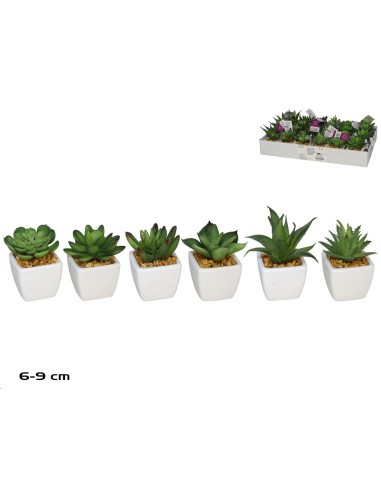 MACETA PLAST SUCULENTAS 6-9 CM (S)