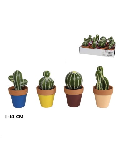 MACETA TERRACOTA CACTUS SURT 11-14 CM