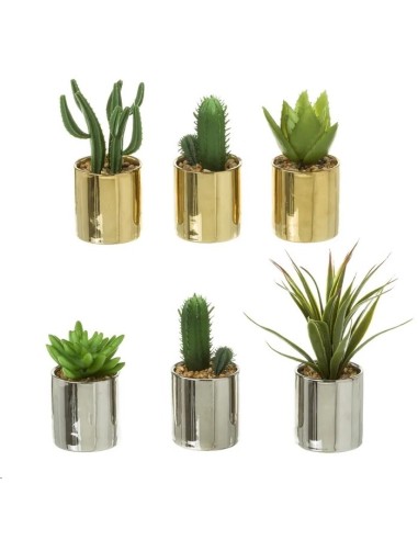 CACTUS 6/M PLÁSTICO 6 X 6 X 16 CM
