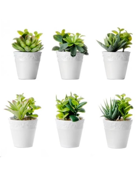 CACTUS 6/M PLÁSTICO 6 X 6 X 11 CM