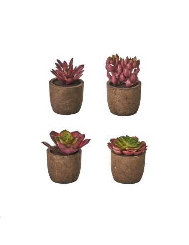 CACTUS 4/M PLÁSTICO 6 X 6 X 10 CM