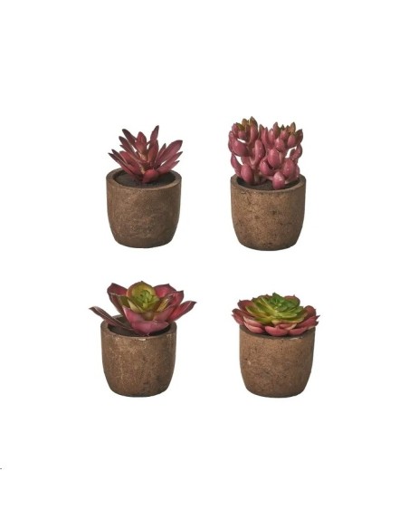 CACTUS 4/M PLÁSTICO 6 X 6 X 10 CM