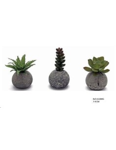 SUCULENTA EN BOLA DE CEMENTO 7-9CM