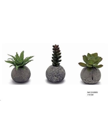 SUCULENTA EN BOLA DE CEMENTO 7-9CM