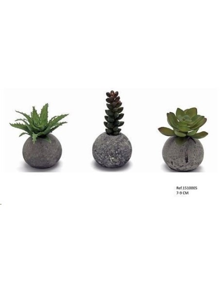 SUCULENTA EN BOLA DE CEMENTO 7-9CM