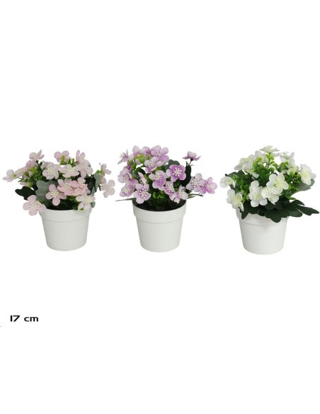 MACETA FLORES SILVESTRES 17CM (SURT)