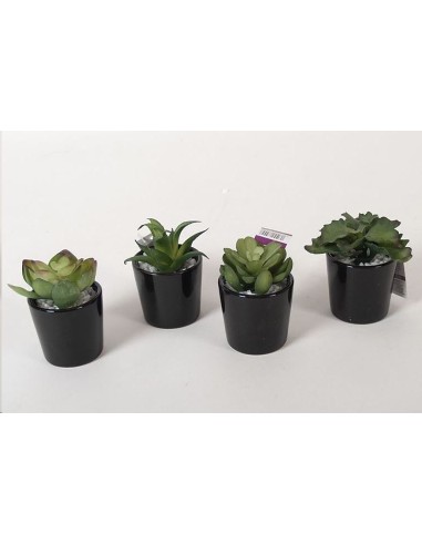 MACETA CERAMICA C/N  SUCULENTAS 9-11 CM
