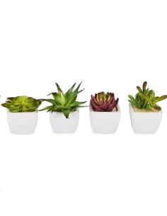 CACTUS EN MACETA 10CM BLANCO SET