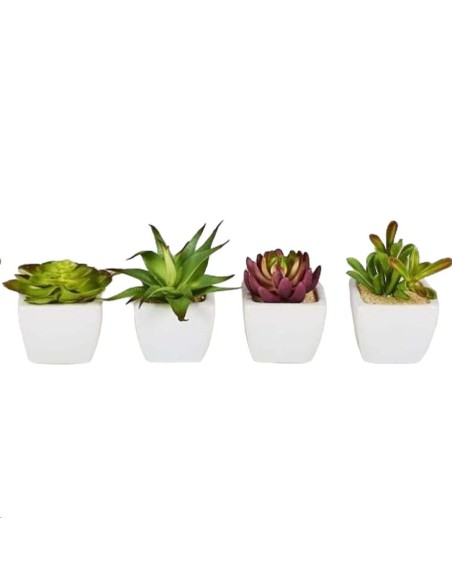 CACTUS EN MACETA 10CM BLANCO SET