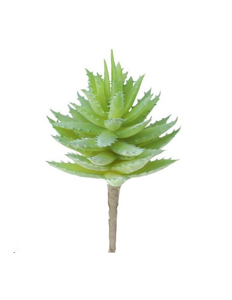 ALOE BREVIFOLIA VERDE CLARO (9752-23)