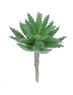 ALOE MACULATA VERDE (9751-09)